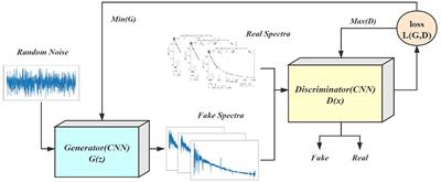 Spectra Recognition Model for O-type Stars Based on Data Augmentation